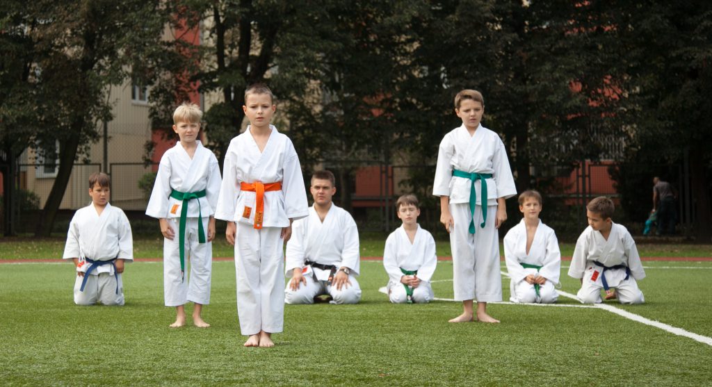 Pokaz karate