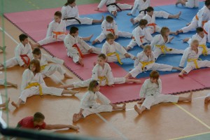 II Turniej o Puchar „Warsa i Sawy”