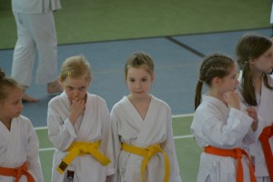 II Turniej o Puchar „Warsa i Sawy”