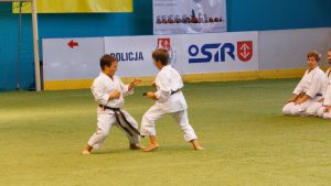 III Charytatywny Turniej Piłki Nożnej Dla Karolinki – Pokaz Karate