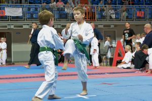 XVI Ogólnopolski Puchar Dzieci w Karate Tradycyjnym ORLEN 2016