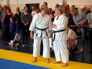 Wojewódzka Liga Karate Tradycyjnego Edycja Druga