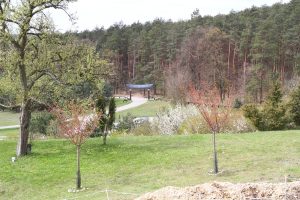 Wyjazd do „Dojo – Stara Wieś” w ramach przedsięwzięcia sfinansowanego z Funduszu Sołeckiego wsi Czarny Las