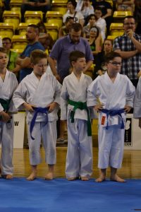 Mistrzostwa Województwa Mazowieckiego w Karate Tradycyjnym