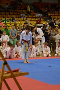 Mistrzostwa Województwa Mazowieckiego w Karate Tradycyjnym