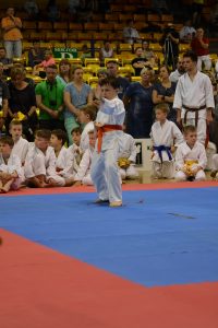 Mistrzostwa Województwa Mazowieckiego w Karate Tradycyjnym