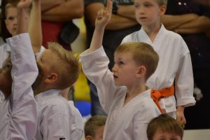 Mistrzostwa Województwa Mazowieckiego w Karate Tradycyjnym