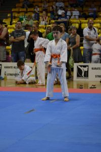 Mistrzostwa Województwa Mazowieckiego w Karate Tradycyjnym