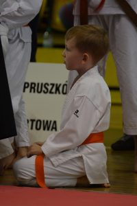 Mistrzostwa Województwa Mazowieckiego w Karate Tradycyjnym