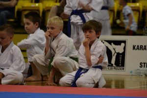 Mistrzostwa Województwa Mazowieckiego w Karate Tradycyjnym