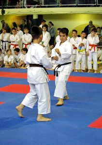 Wojewódzka Liga Karate Tradycyjnego – Finał