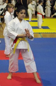 Wojewódzka Liga Karate Tradycyjnego – Finał