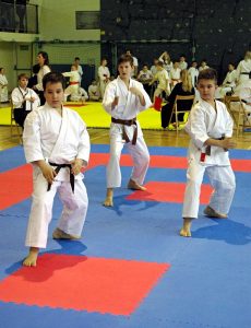 Wojewódzka Liga Karate Tradycyjnego – Finał