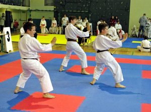 Wojewódzka Liga Karate Tradycyjnego – Finał