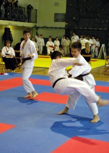 Wojewódzka Liga Karate Tradycyjnego – Finał