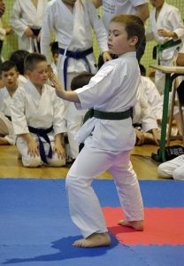 Wojewódzka Liga Karate Tradycyjnego – Finał