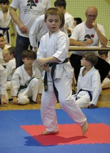 Wojewódzka Liga Karate Tradycyjnego – Finał