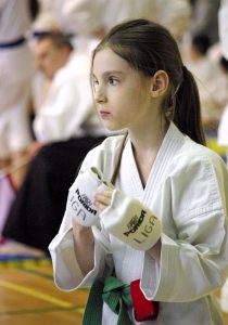 Wojewódzka Liga Karate Tradycyjnego – Finał