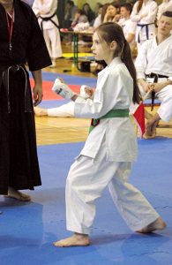 Wojewódzka Liga Karate Tradycyjnego – Finał