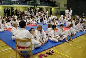 Wojewódzka Liga Karate Tradycyjnego – Finał