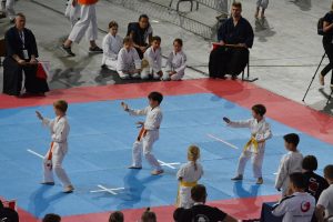 XVII Ogólnopolski Puchar Dzieci w Karate Tradycyjnym ORLEN 2017