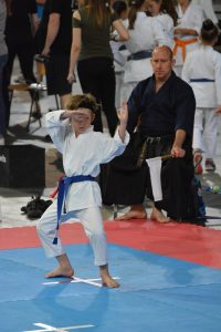 XVII Ogólnopolski Puchar Dzieci w Karate Tradycyjnym ORLEN 2017