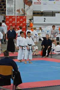 XVII Ogólnopolski Puchar Dzieci w Karate Tradycyjnym ORLEN 2017