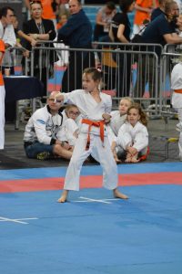 XVII Ogólnopolski Puchar Dzieci w Karate Tradycyjnym ORLEN 2017