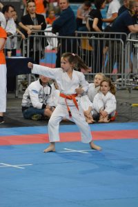 XVII Ogólnopolski Puchar Dzieci w Karate Tradycyjnym ORLEN 2017