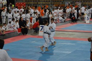 XVII Ogólnopolski Puchar Dzieci w Karate Tradycyjnym ORLEN 2017
