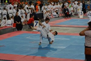 XVII Ogólnopolski Puchar Dzieci w Karate Tradycyjnym ORLEN 2017