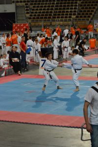 XVII Ogólnopolski Puchar Dzieci w Karate Tradycyjnym ORLEN 2017