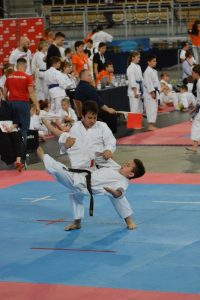 XVII Ogólnopolski Puchar Dzieci w Karate Tradycyjnym ORLEN 2017