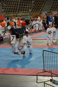 XVII Ogólnopolski Puchar Dzieci w Karate Tradycyjnym ORLEN 2017