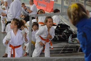 XVII Ogólnopolski Puchar Dzieci w Karate Tradycyjnym ORLEN 2017