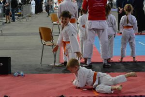 XVII Ogólnopolski Puchar Dzieci w Karate Tradycyjnym ORLEN 2017