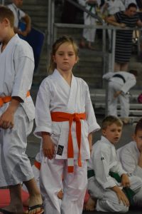 XVII Ogólnopolski Puchar Dzieci w Karate Tradycyjnym ORLEN 2017