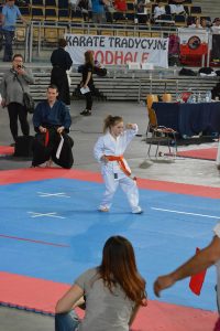 XVII Ogólnopolski Puchar Dzieci w Karate Tradycyjnym ORLEN 2017