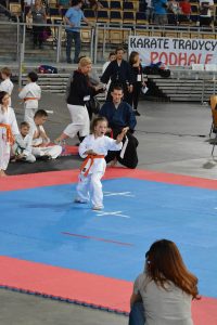 XVII Ogólnopolski Puchar Dzieci w Karate Tradycyjnym ORLEN 2017