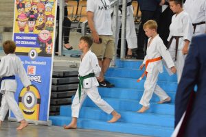 XVII Ogólnopolski Puchar Dzieci w Karate Tradycyjnym ORLEN 2017