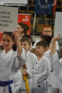 XVII Ogólnopolski Puchar Dzieci w Karate Tradycyjnym ORLEN 2017