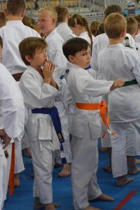 XVII Ogólnopolski Puchar Dzieci w Karate Tradycyjnym ORLEN 2017