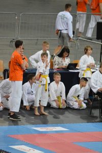 XVII Ogólnopolski Puchar Dzieci w Karate Tradycyjnym ORLEN 2017