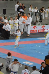 XVII Ogólnopolski Puchar Dzieci w Karate Tradycyjnym ORLEN 2017