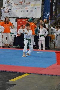 XVII Ogólnopolski Puchar Dzieci w Karate Tradycyjnym ORLEN 2017