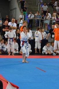 XVII Ogólnopolski Puchar Dzieci w Karate Tradycyjnym ORLEN 2017