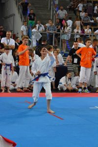 XVII Ogólnopolski Puchar Dzieci w Karate Tradycyjnym ORLEN 2017