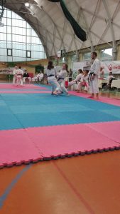 Turniej o Puchar Burmistrza Konstantynowa Łódzkiego w Karate Tradycyjnym