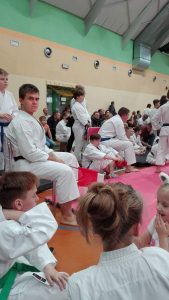 Turniej o Puchar Burmistrza Konstantynowa Łódzkiego w Karate Tradycyjnym