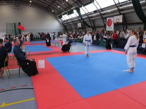 Otwarta Wojewódzka Liga Karate 2019